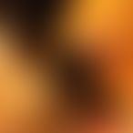 Lyam_et_Constancex, Un couple, 27 ans, Dinant (2)