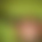 KimTgirl, Femme trans, 34 ans, Sprimont (3)